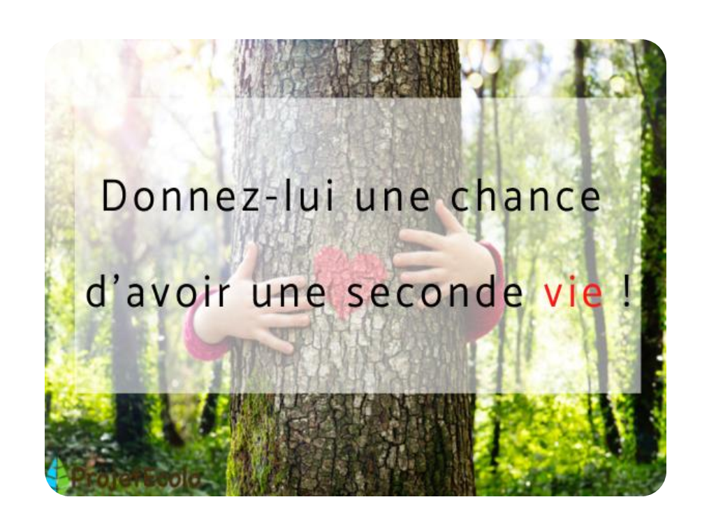 Donner lui une seconde